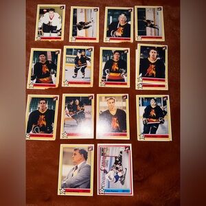 1991 Belleville Bulls OHL Vintage Hockey Trading Card Collection